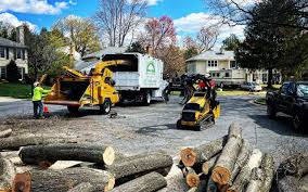 How Our Tree Care Process Works  in  Southeast Arcadia, FL